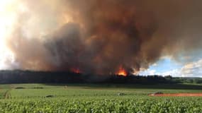 Incendie sur le plateau de Chenôve en Côte-d'Or - Témoins BFMTV