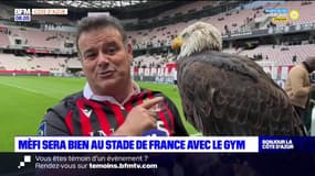 Coupe de France: Mèfi, aigle officiel de l'OGC Nice, sera au Stade de France pour la finale
