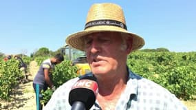 Sécheresse: les vendanges impactées 