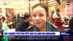 Île-de-France: les librairies fêtent les 25 ans en libraire de la saga Harry Potter