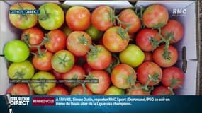Une exploitation du Finistère confinée après la découverte du virus de la tomate