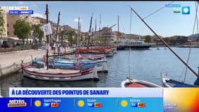 Var : à la découverte des pointus de Sanary