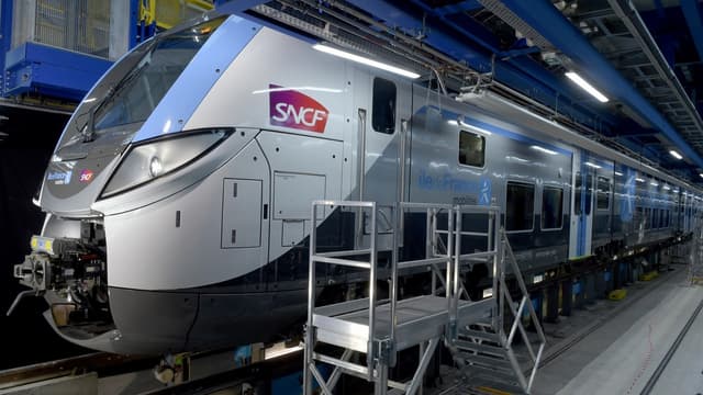 "On a un taux de pannes et un taux d'incidents qui est beaucoup plus élevé qu'ailleurs avec ce train arrivé en 2017 dans la région", selon le secrétaire général du syndicat CGT des cheminots de Paris-Gare de Lyon, Bérenger Cernon.