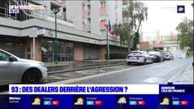 Seine-Saint-Denis: des dealers derrière l'agression au couteau d'une mère et sa fille?