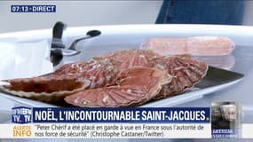 La coquille Saint-Jacques, incontournable pour les fêtes !