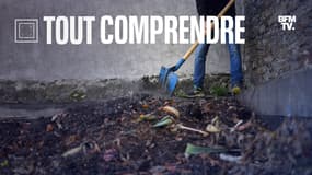 Un compost à Nantes (Loire-Atlantique), en 2017.