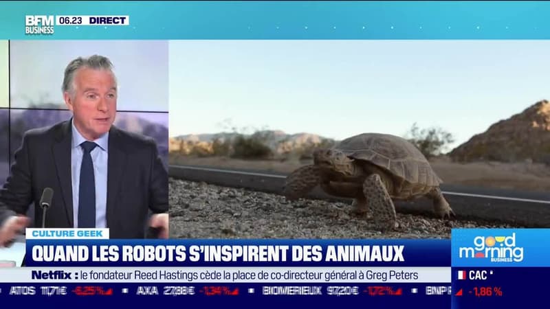 Culture Geek : Quand les robots s'inspirent des animaux, par Frédéric Simottel - 20/01