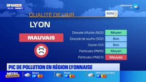 Pic de pollution en région lyonnaise