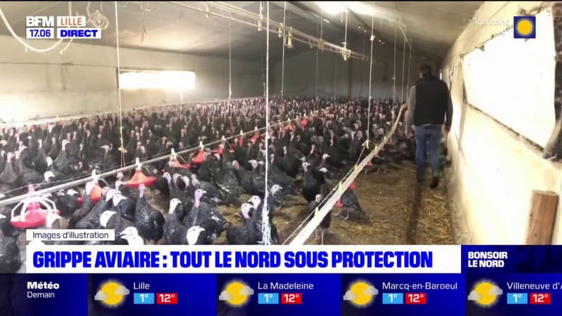 Nord: des mesures contre la grippe aviaire dans tout le département