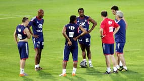 Sidney Govou dégoûté par les tensions chez les Bleus en 2010