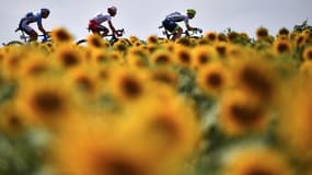 Des coureurs sur la route du Tour