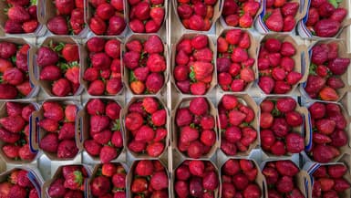 Des fraises sur un marché toulousain le 20 mai 2022