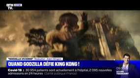 Quand Godzilla défie King Kong ! - 22/04