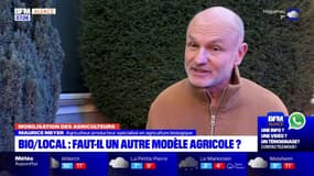 Colère des agriculteurs: faut-il changer de modèle agricole en Alsace?