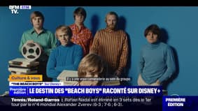 Le destin des "Beach Boys" raconté sur Disney +