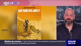 Joann Sfar (auteur de BD): "Il y a une grande joie (...) mais aussi une amertume, car en Israël, tout le monde sait que ces accords étaient sur la table depuis plus de dix mois"