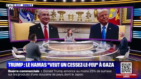 Trump : le Hamas "veut un cessez-le-feu" à Gaza - 08/07