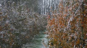 Chutes de neige samedi 27 octobre à Boisney, dans l'Eure