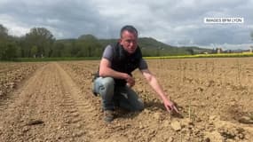 Cédric Lacombe, agriculteur et viticulteur, dans son champ où lui ont été volées des asperges, à Châtillon, dans le Rhône.