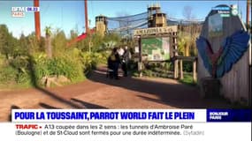 Seine-et-Marne: le parc animalier Parrot World fait le plein de visiteurs