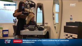 Avant un possible reconfinement, l'affluence dans les salons de coiffures bas des records