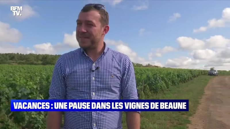 Vacances : une pause dans les vignes de Beaune - 11/07