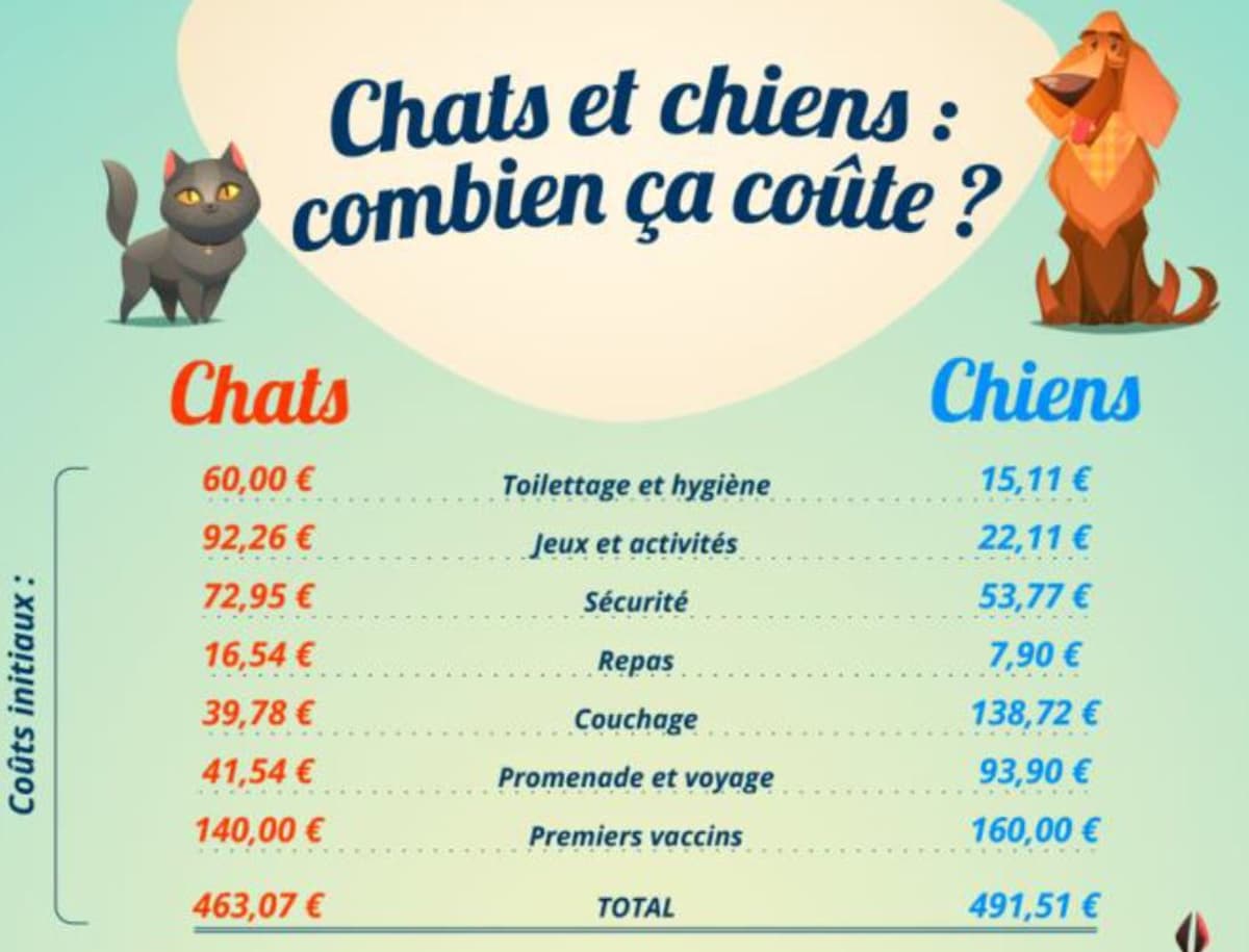 Quel budget annuel prévoir pour son chien et son chat?
