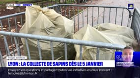Lyon : la collecte de sapins débute le 5 janvier 