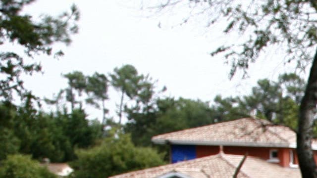 Un enseignant d'un lycée forestier a été tué par la chute d'un arbre, ce jeudi. (Photo d'illustration)