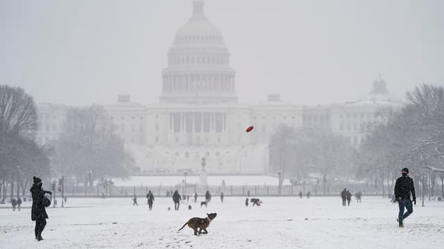 Des gens jouent avec leur chien sur le National Mall lors d'une tempête de neige le 31 janvier 2021, à Washington, DC.
