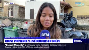 Bouches-du-Rhône: les éboueurs en grève dans six communes