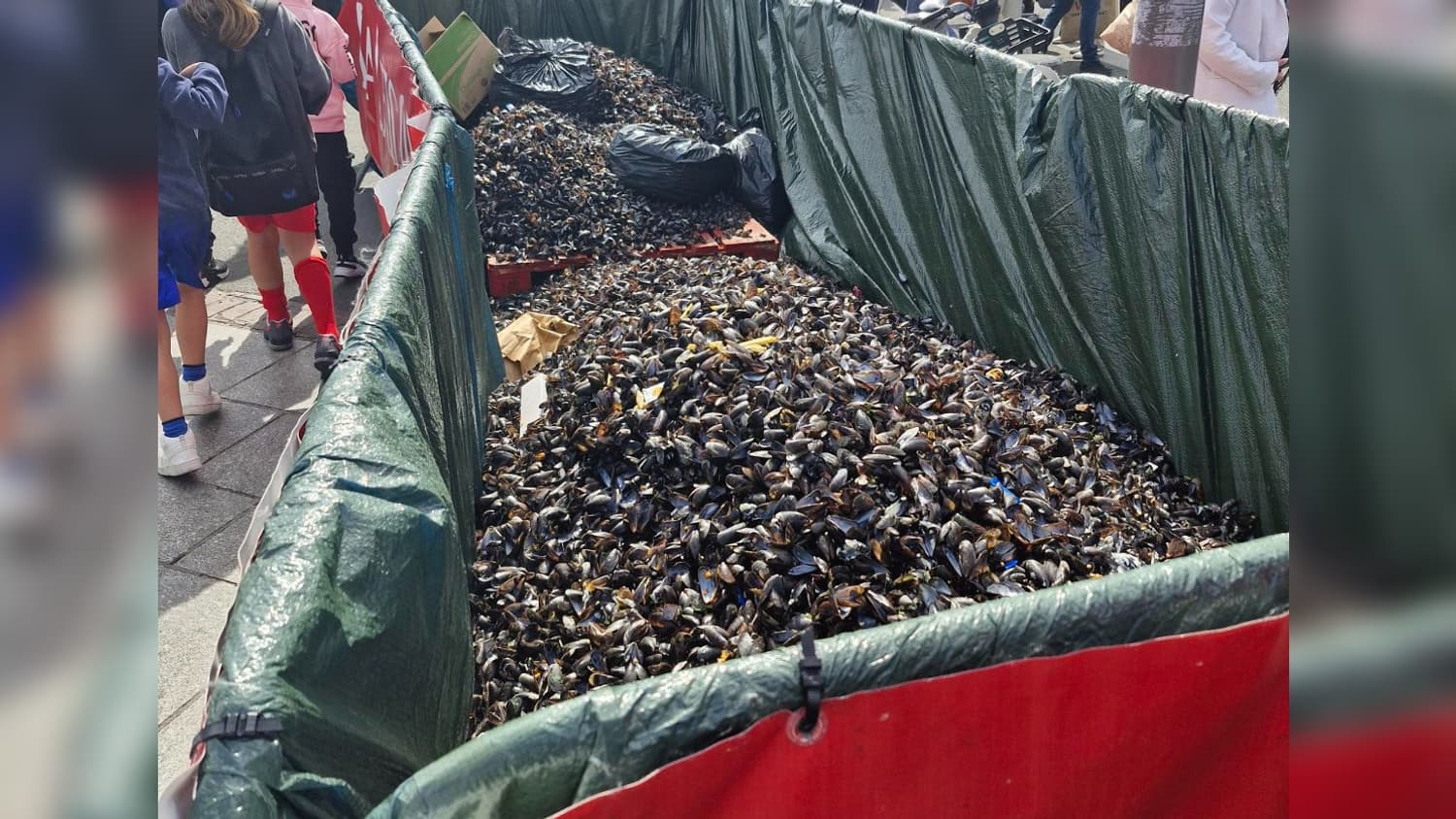 Des coquilles de moule à la braderie de Lille 2024 place Rihour. 