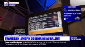 Île-de-France: les lignes de Transilien impactées par la pénurie de conducteurs