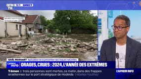 Violents orages: "Le réchauffement climatique entraîne des extrêmes", analyse Gaël Musquet, spécialiste de la prévention des risques naturels