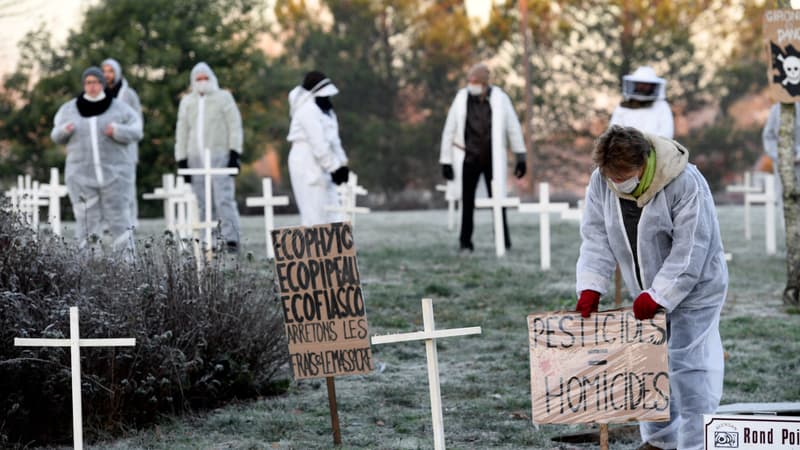Des personnes portant des masques et des combinaisons de protection se tiennent à côté de pancartes qui se traduisent par "Ecophyto, Eco-déchets, Eco-fiasco, arrêtez les coûts et les massacres", lors d'une action de soutien aux travailleurs agricoles et vitivinicoles le 4 décembre 2016, à Anvensan, dans le sud-ouest de la France. 