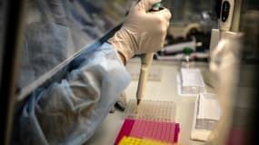 Un technicien dans un laboratoire de l'Institut Pasteur, le 21 janvier 2021 à Paris