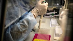 Un technicien dans un laboratoire de l'Institut Pasteur, le 21 janvier 2021 à Paris