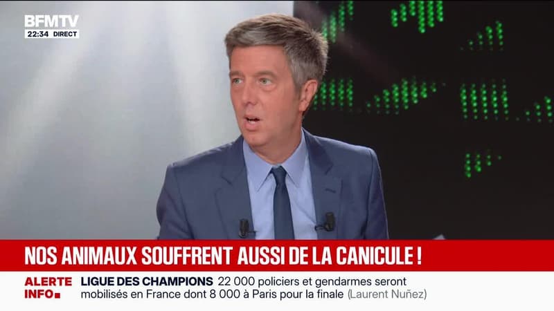 Plus de 1 100 records de chaleur battus en cinq jours - 27/05