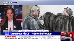 Le témoignage insoutenable de D. Pélicot - 17/09