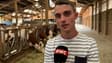Maladie bovine: 121 vaches pourraient être abattues préventivement à Entrelacs