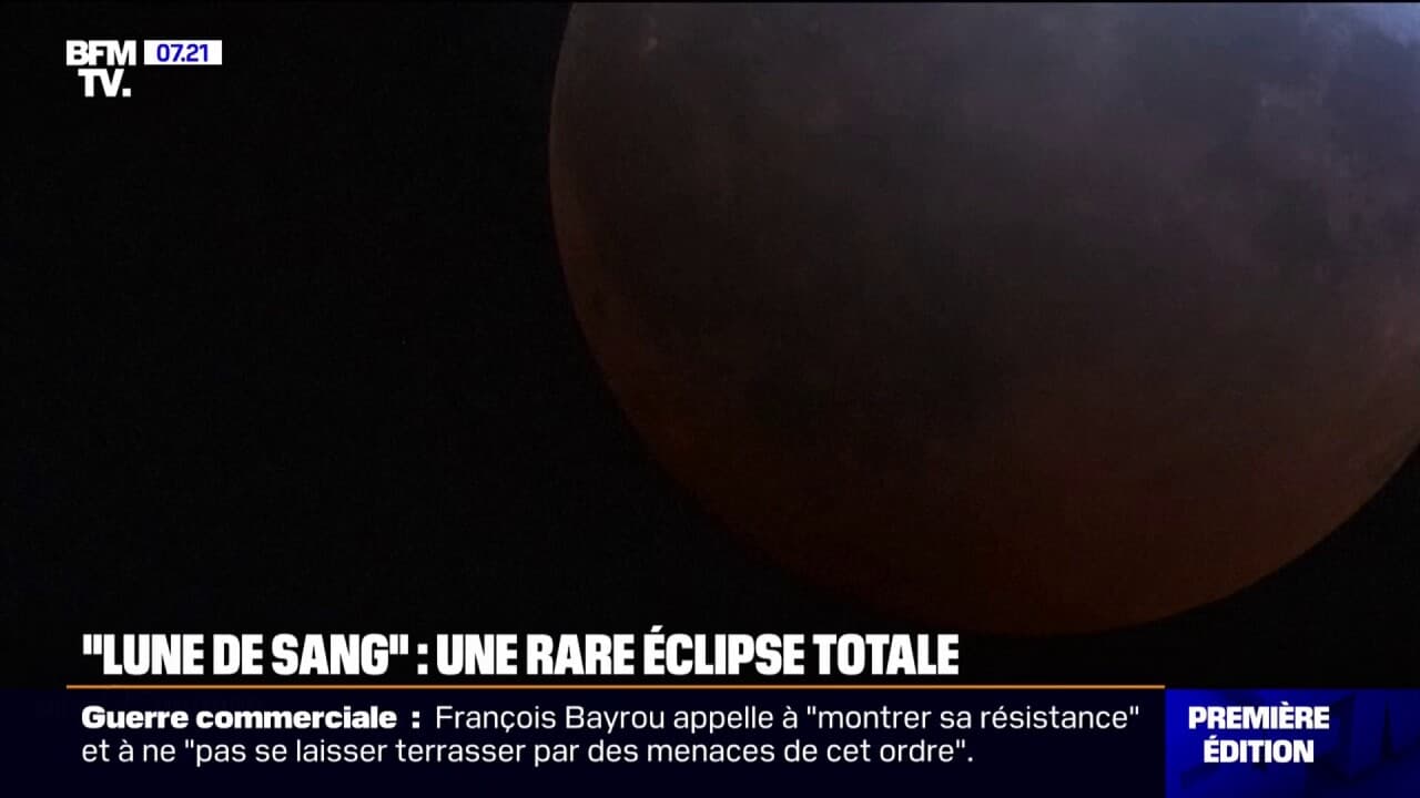 Lune De Sang Scan Vf Lecture En Ligne www.bfmtv.com