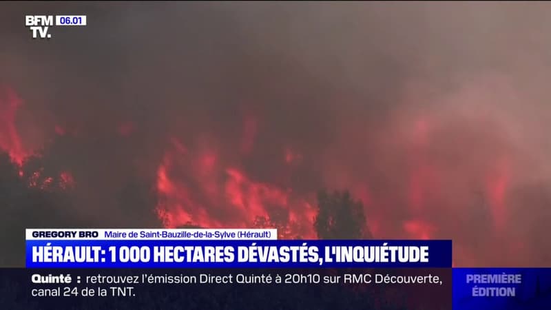 Incendie dans l'Hérault: 1000 hectares déjà brûlés, une enquête est ouverte