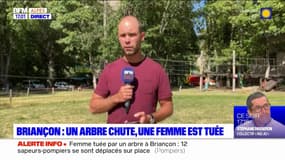 Briançon: une femme tuée par la chute d'un arbre au parc de la Schappe