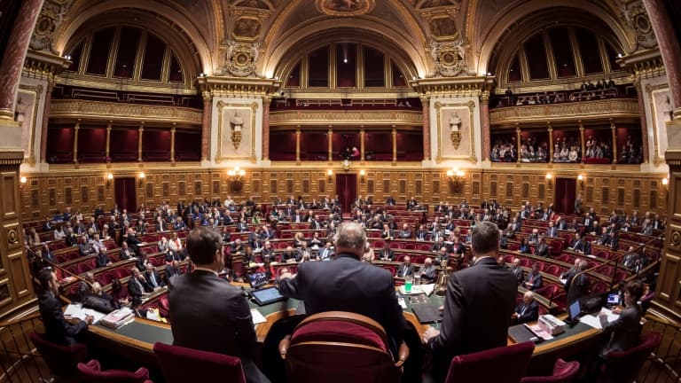 L'hémicycle du Sénat à Paris le 17 novembre 2016.