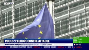 Puces : l'Europe contre-attaque 
