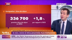Immigration : "Une hausse structurelle des titres de séjour délivrés"
