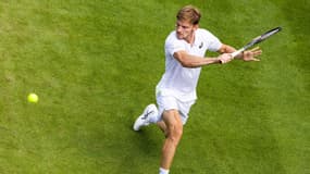 D. Goffin
