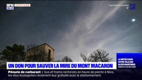 Alpes-Maritimes: une cagnotte lancée pour sauver la Mire du Mont-Macaron 