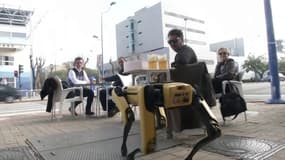 À Séville, un robot sert les clients d'un bar pour éviter les contacts
