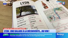 Lyon: une balade à la découverte du vin dans le 6e arrondissement